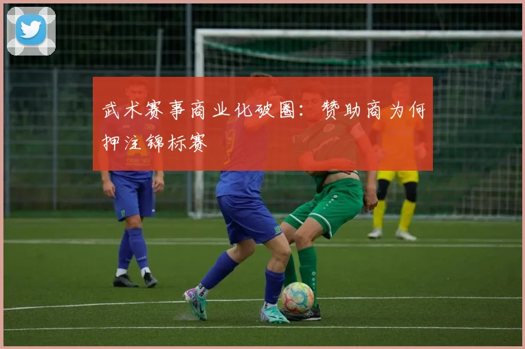 武术赛事商业化破圈：赞助商为何押注锦标赛