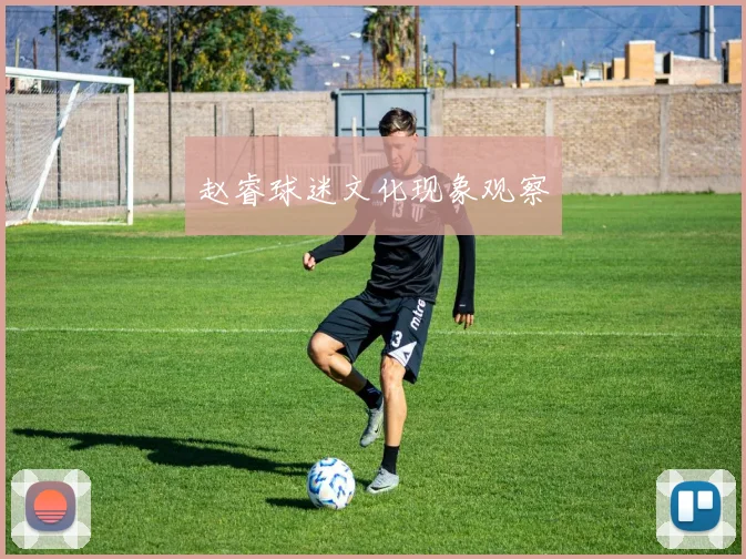 赵睿球迷文化现象观察