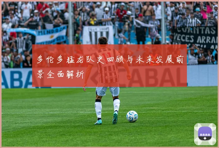 多伦多猛龙队史回顾与未来发展前景全面解析