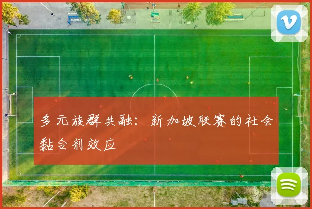 多元族群共融：新加坡联赛的社会黏合剂效应