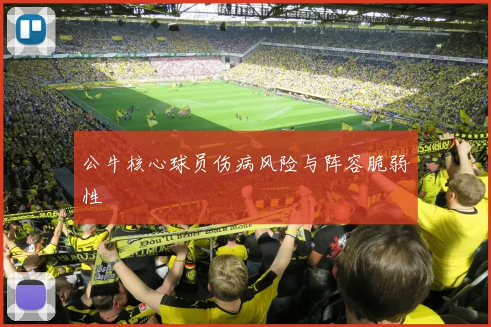 公牛核心球员伤病风险与阵容脆弱性