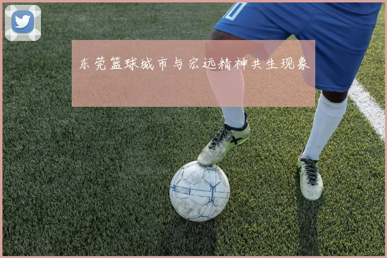 东莞篮球城市与宏远精神共生现象