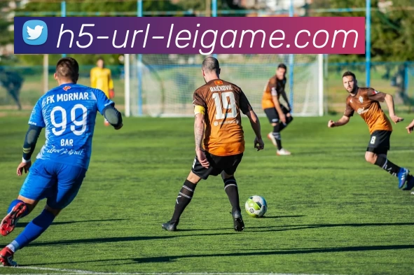 雷竞技官网APP 体育赛事宣传图